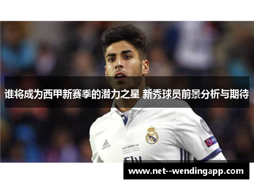 谁将成为西甲新赛季的潜力之星 新秀球员前景分析与期待 谁将成为西甲新赛季的潜力之星 新秀球员前景分析与期待