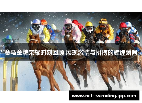 赛马金牌荣耀时刻回顾 展现激情与拼搏的辉煌瞬间 赛马金牌荣耀时刻回顾 展现激情与拼搏的辉煌瞬间